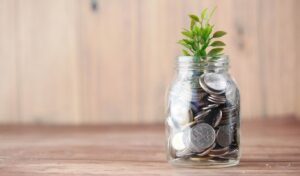 Create an Endowment with Albany Public Schools Foundation