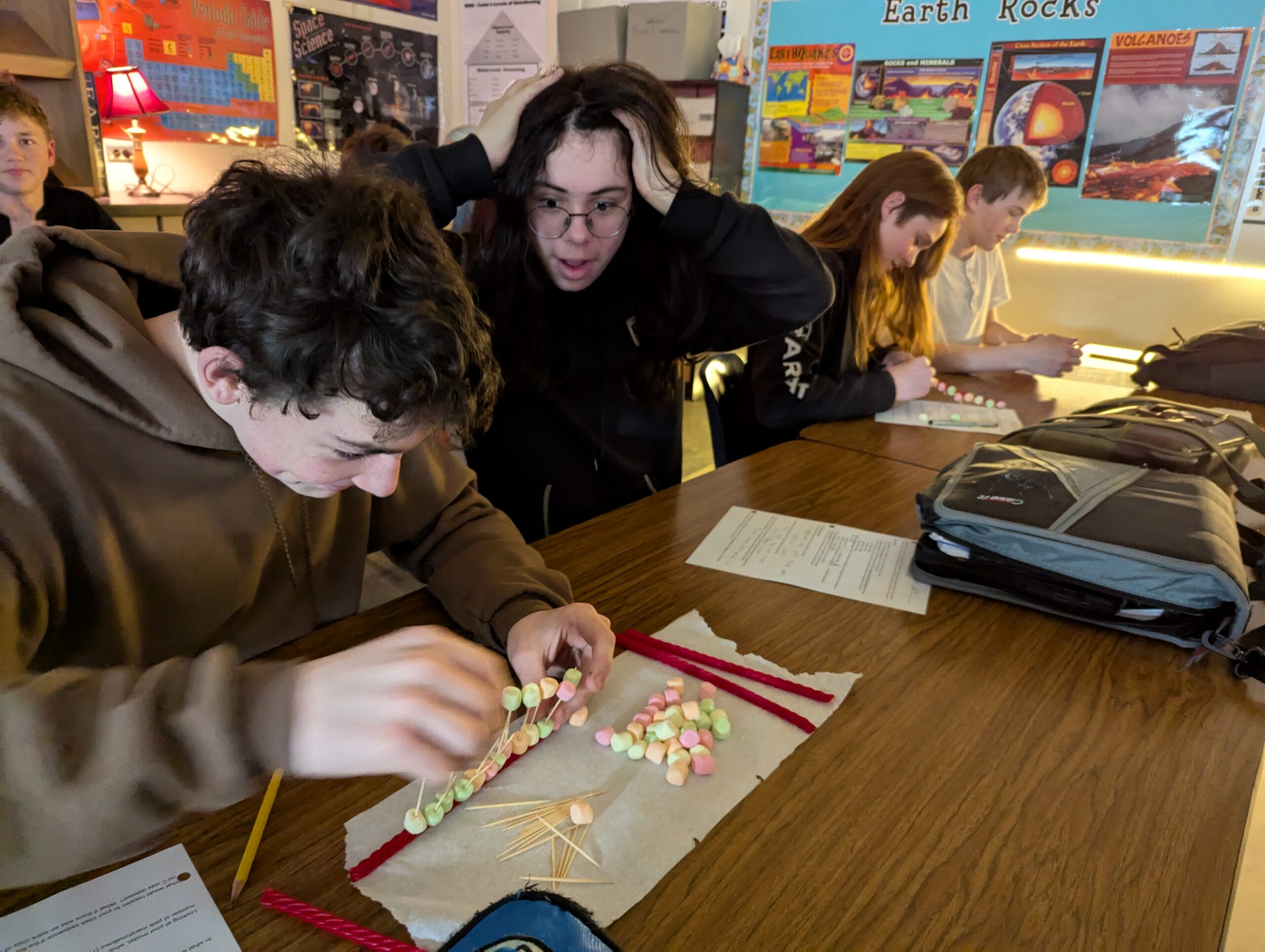 DNA Model_Memorial MS_Classroom Grant (O'Brien)1