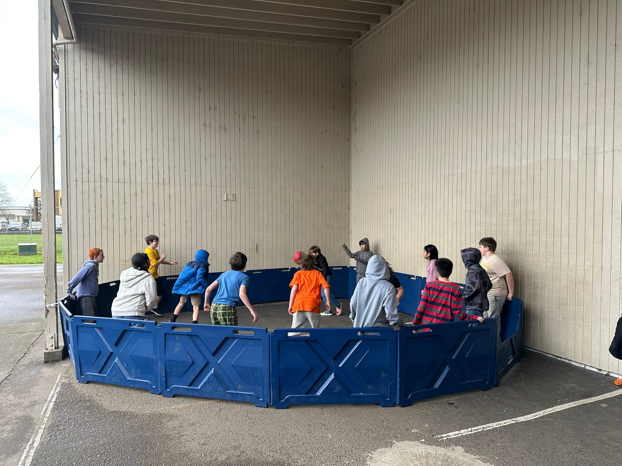 Waverly Gaga Ball 1
